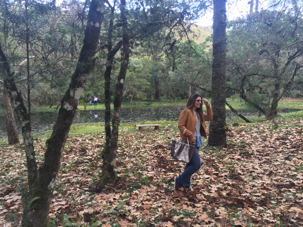 Horto Florestal no outono